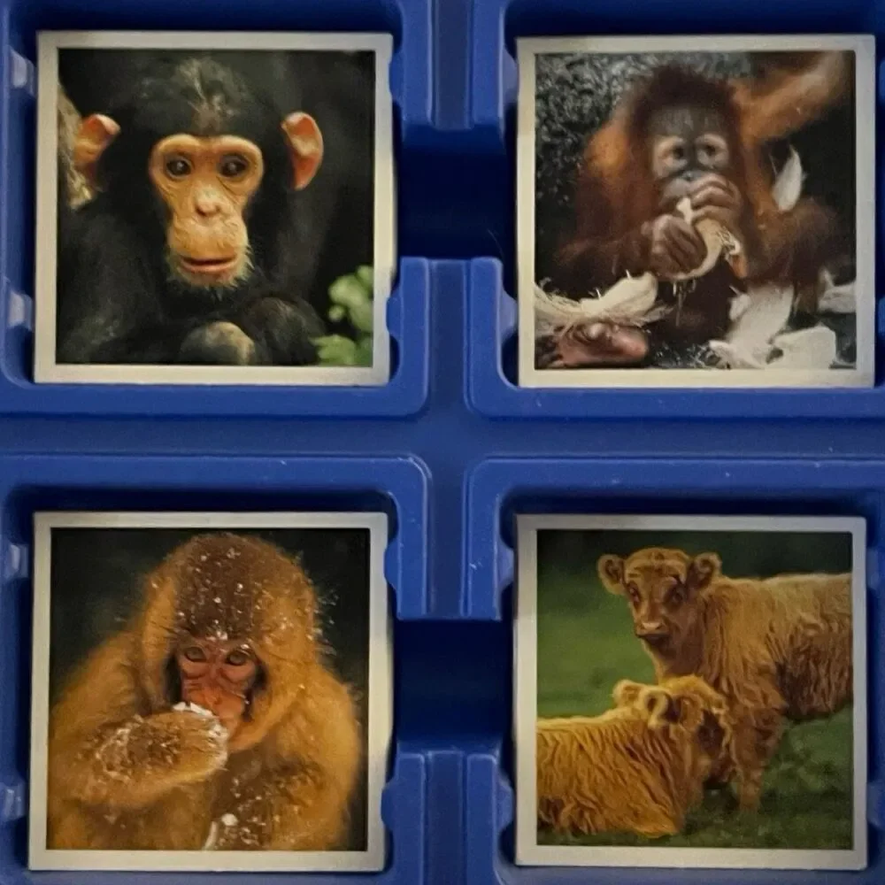 Ravensburger Baby Animal Mix & Match Card Game Memory COMPLETE